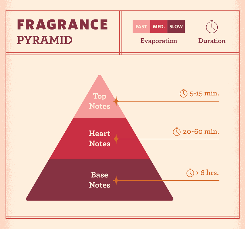 Top 9 Fragrance Notes You Need to Know About