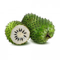 Soursop