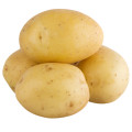 Potato