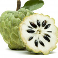 Cherimoya