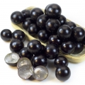 Jabuticaba