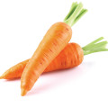 Carrot