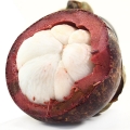 Mangosteen