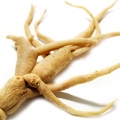 Ginseng