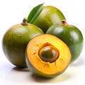 Lucuma