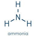 Ammonia