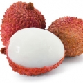 Litchi