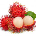 Rambutan