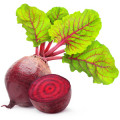 Beetroot