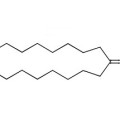 Civettone