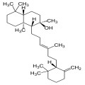 Ambreine